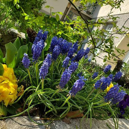 Apartment Villa Leopoldskron Salzburg Zewnętrze zdjęcie